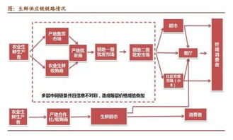 许荣聪专栏 再论零售商的机遇与挑战