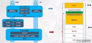 传低价出售核心业务,gmv 270亿的丹露网因何身陷囹圄