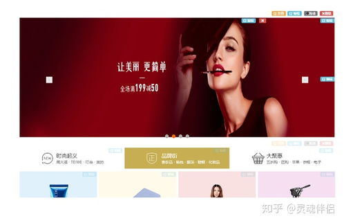 B2B2C多用户商城系统 功能、渠道、架构与商业模式整合方案